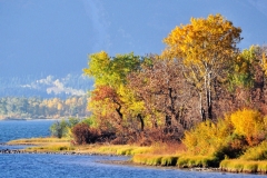 Alberta Canada Fall Color at Waterton