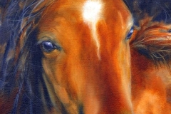 Sorrel-Blue  Oil Painting  Original SOLD