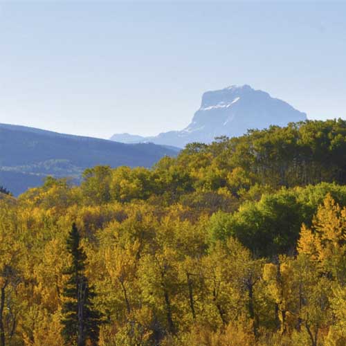 Landscape and Still Life Photography